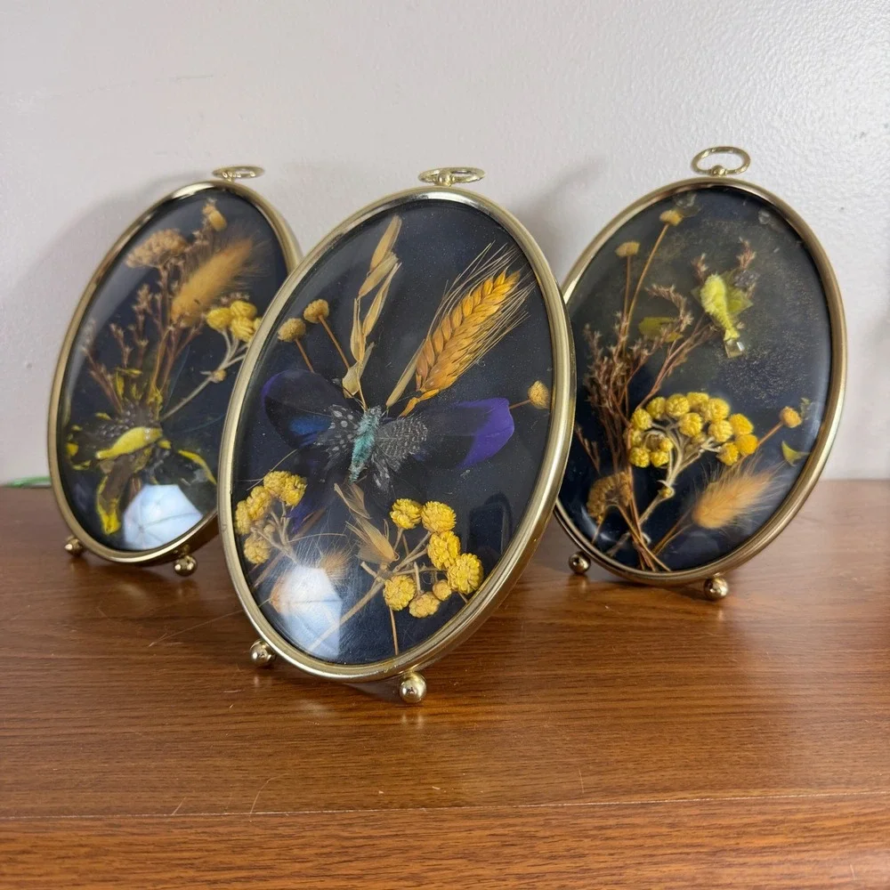 Vintage Oval Brass Shadow Box Set of 3 Dried Flowers Butterflies Cottagecore